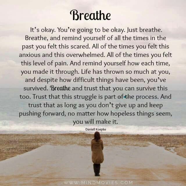 Gratitude only occurs when you stop to breathe.